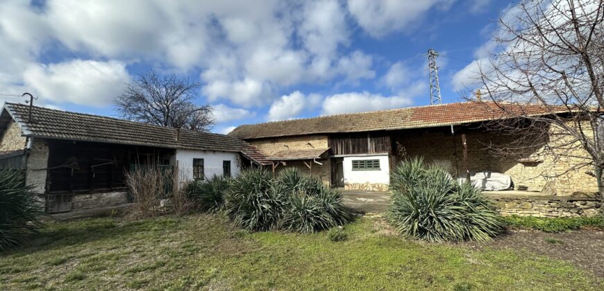 Gingerbread House – Gradina