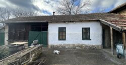 Gingerbread House – Gradina