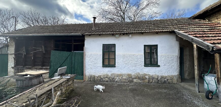 Gingerbread House – Gradina