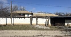 Springbok House – Palamartsa