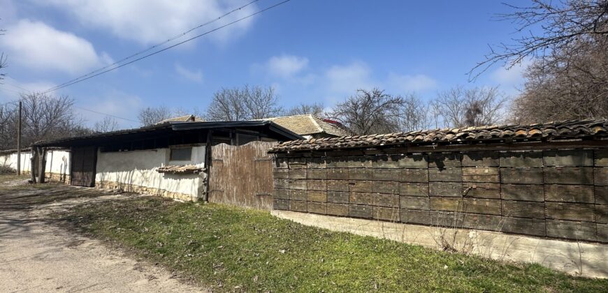 Springbok House – Palamartsa