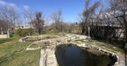 Springbok House – Palamartsa