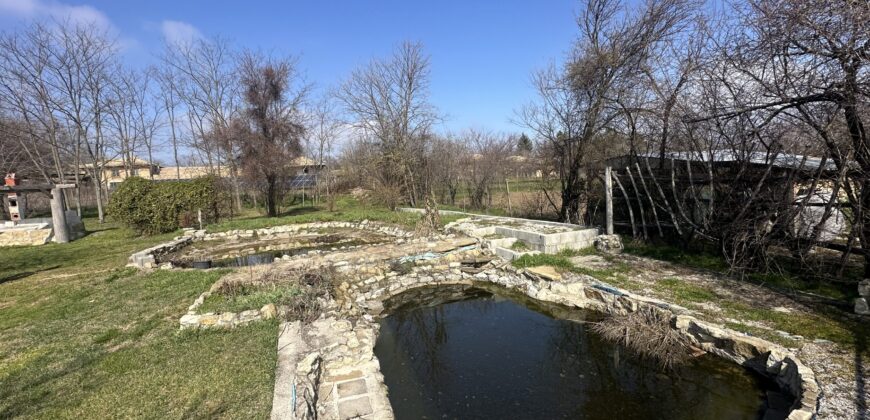 Springbok House – Palamartsa