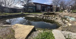 Springbok House – Palamartsa