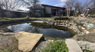 Springbok House – Palamartsa