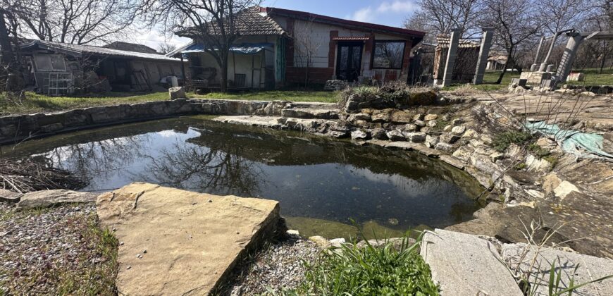 Springbok House – Palamartsa