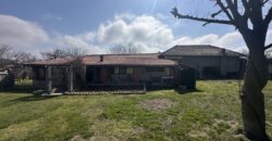 Springbok House – Palamartsa