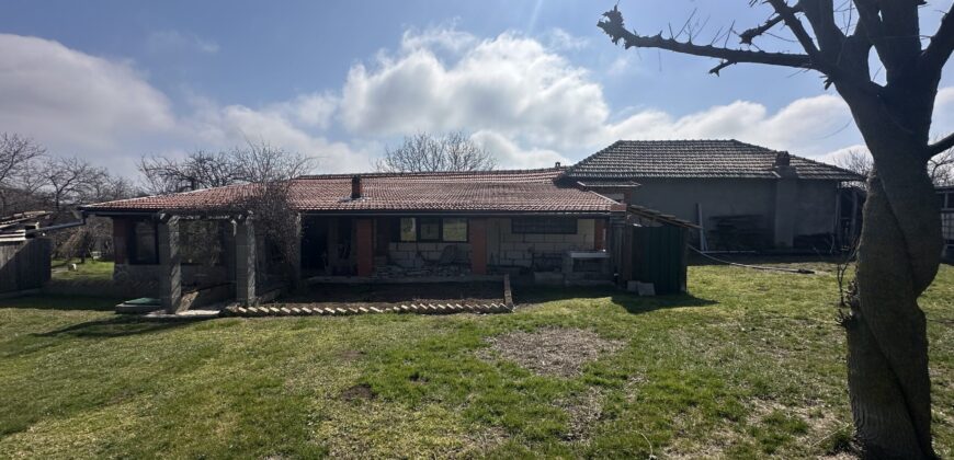 Springbok House – Palamartsa