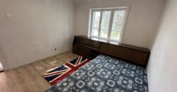 Bluebird House – Pavel