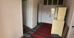 Bluebird House – Pavel