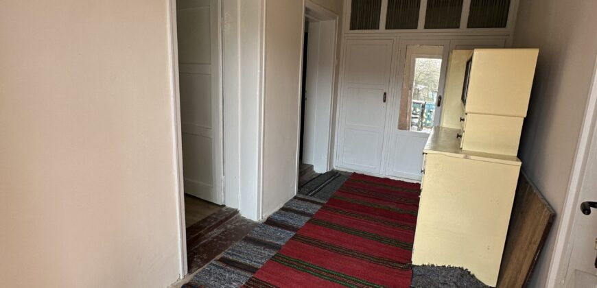 Bluebird House – Pavel