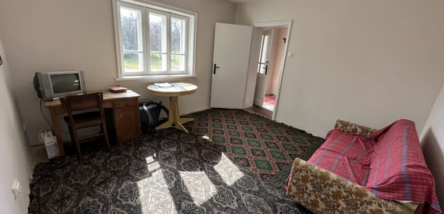 Bluebird House – Pavel