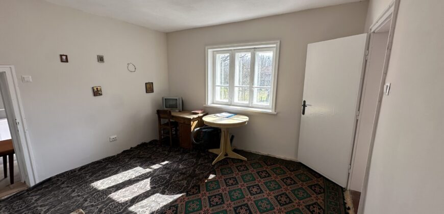 Bluebird House – Pavel