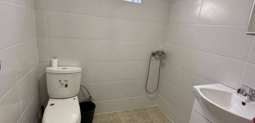 Bluebird House – Pavel