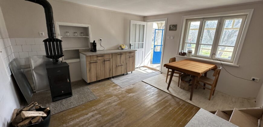 Bluebird House – Pavel