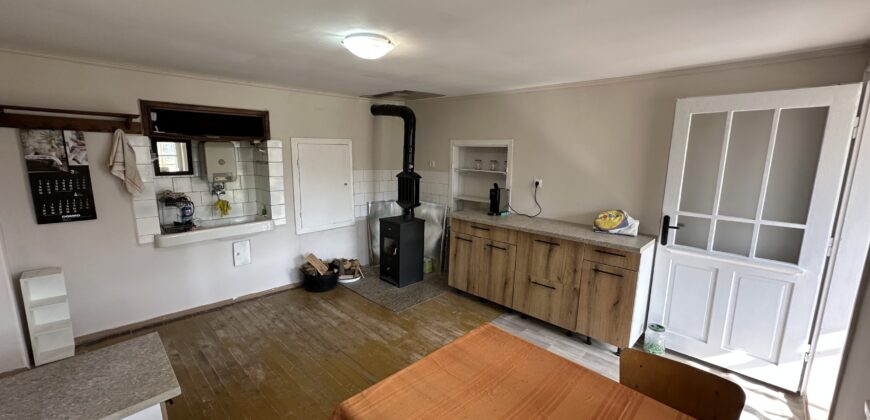 Bluebird House – Pavel