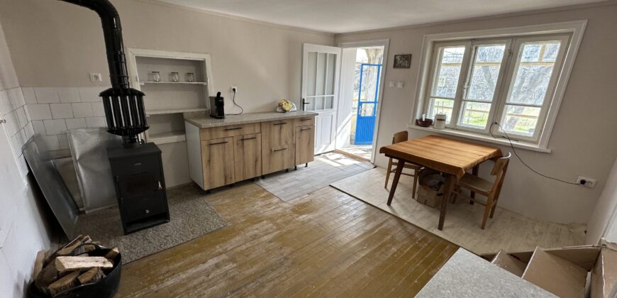 Bluebird House – Pavel