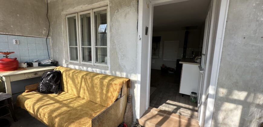 Bluebird House – Pavel