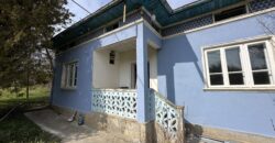 Bluebird House – Pavel