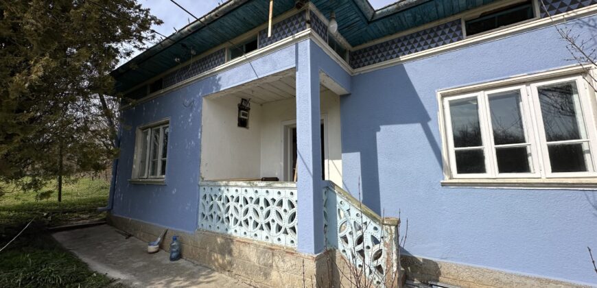 Bluebird House – Pavel