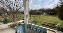 Bluebird House – Pavel