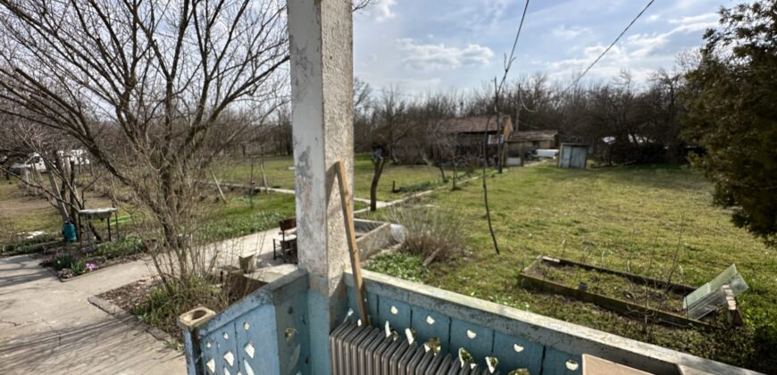 Bluebird House – Pavel