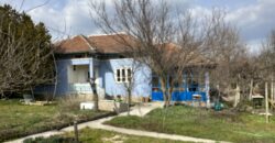 Bluebird House – Pavel