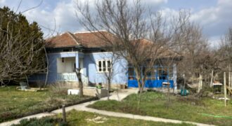 Bluebird House – Pavel