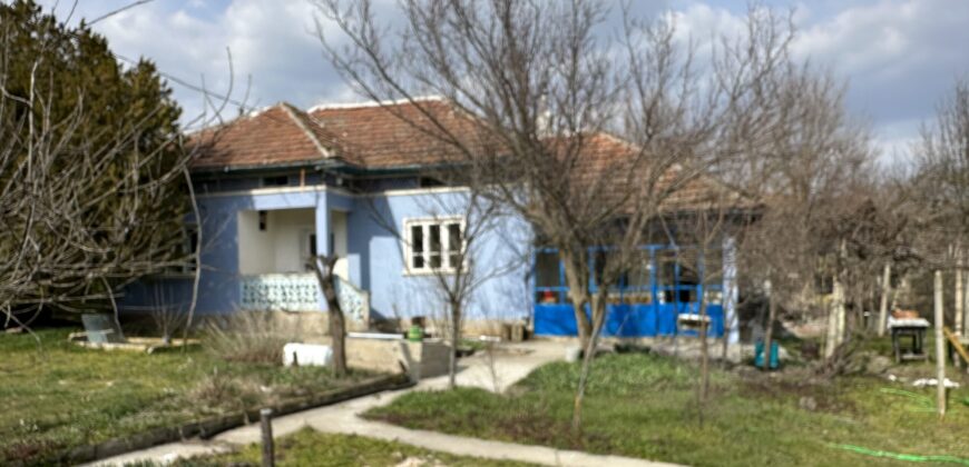 Bluebird House – Pavel