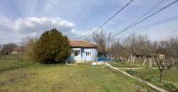 Bluebird House – Pavel