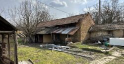 Bluebird House – Pavel