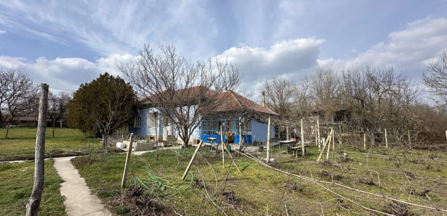 Bluebird House – Pavel