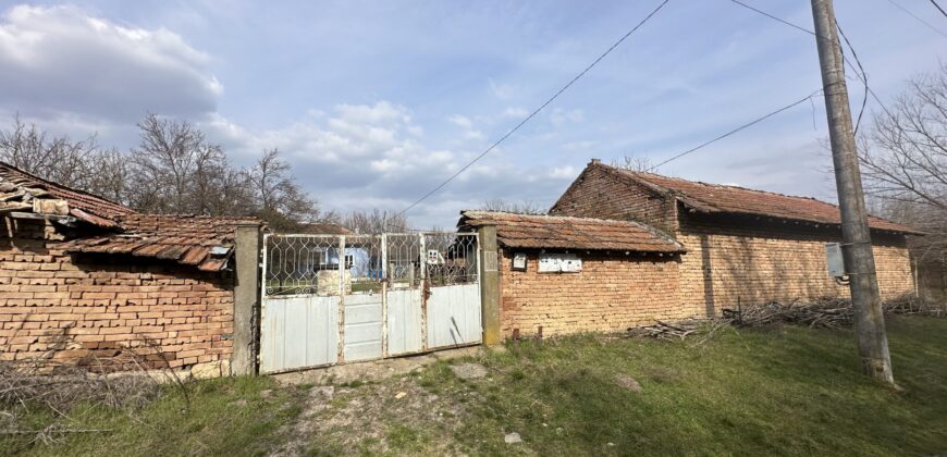 Bluebird House – Pavel