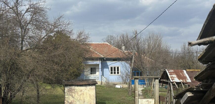 Bluebird House – Pavel