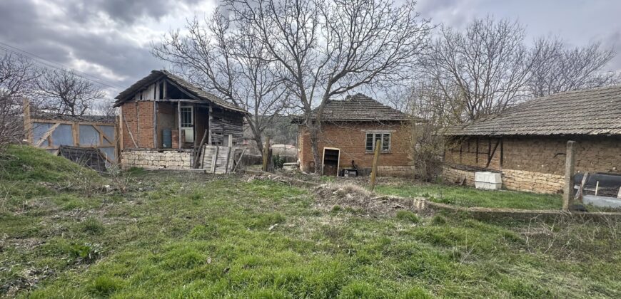 Cornerstone House – Osikovo