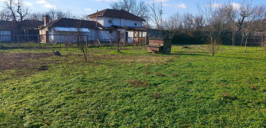 Beethoven House – Radanovo