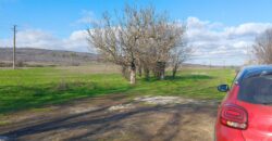 Beethoven House – Radanovo