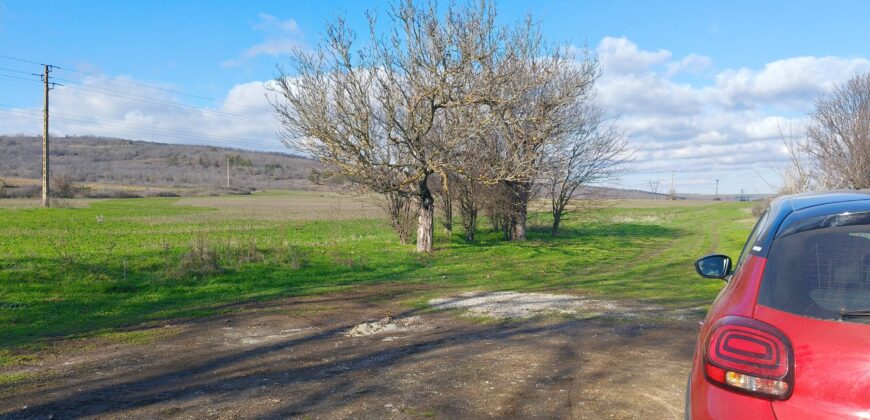 Beethoven House – Radanovo