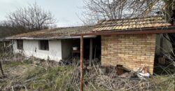 Baba Nadelka’s House – Palamartsa