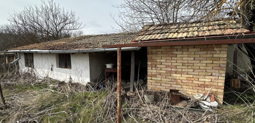 Baba Nadelka’s House – Palamartsa