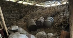 Baba Nadelka’s House – Palamartsa