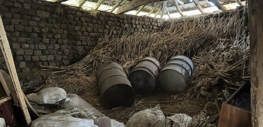 Baba Nadelka’s House – Palamartsa