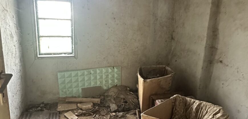 Vixen House – Palamartsa