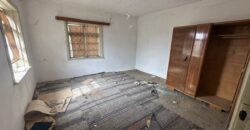 Vixen House – Palamartsa