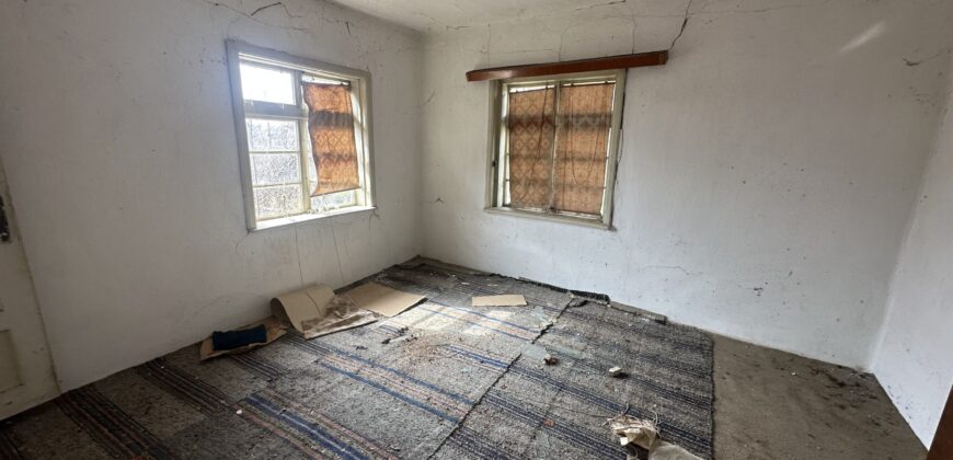 Vixen House – Palamartsa