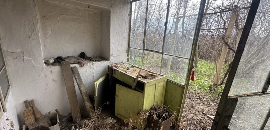 Vixen House – Palamartsa