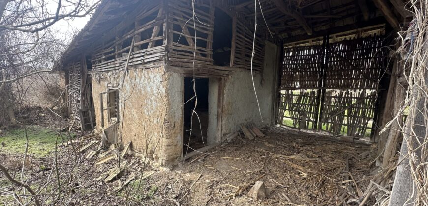 Vixen House – Palamartsa