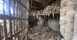 Vixen House – Palamartsa