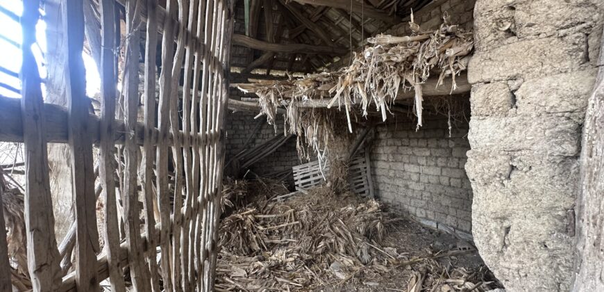 Vixen House – Palamartsa