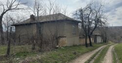 Vixen House – Palamartsa